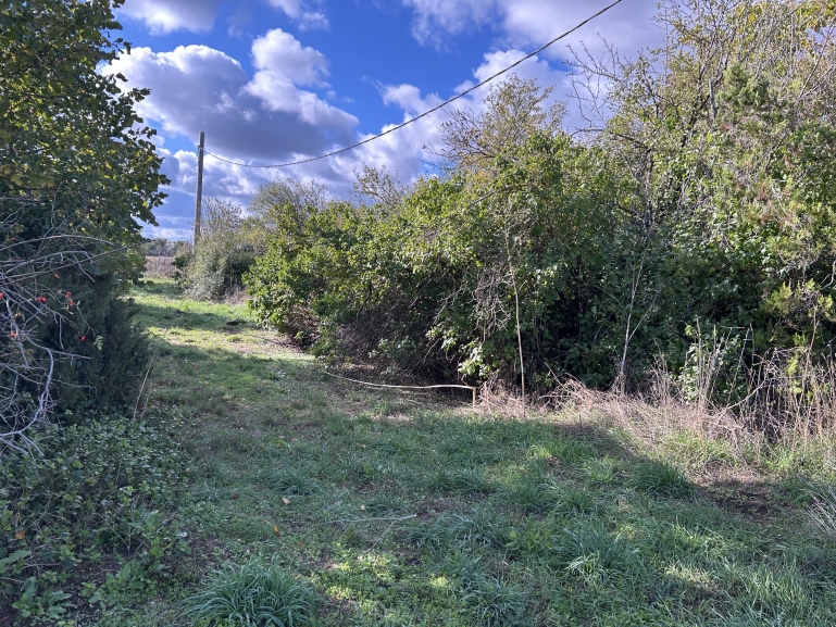 Дворно място и сграда 5кв м в село Стаевци