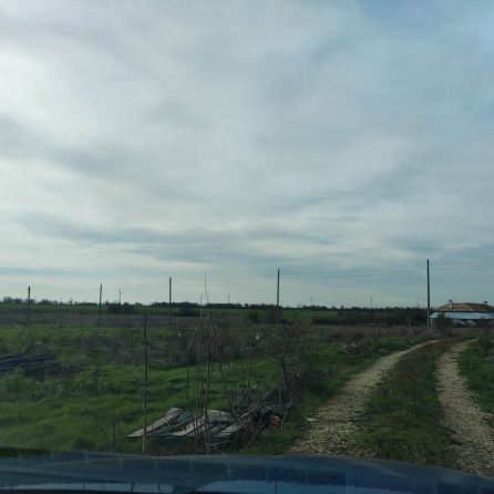 Парцел в село Брястово, 5000кв.м. снимка 1