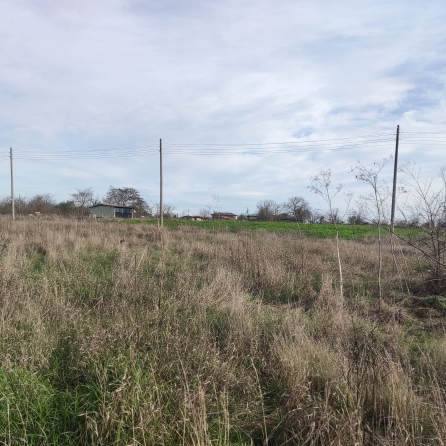 Парцел в село Брястово, 5000кв.м. снимка 4