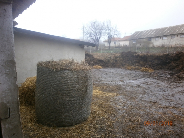 Стопански имот в село  Абрит снимка 14